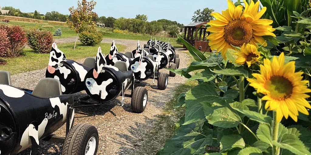 Kids riding the cow-shaped train at Goebbert's