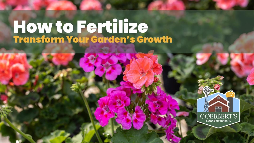 How to Fertilize: Transform Your Garden’s Growth