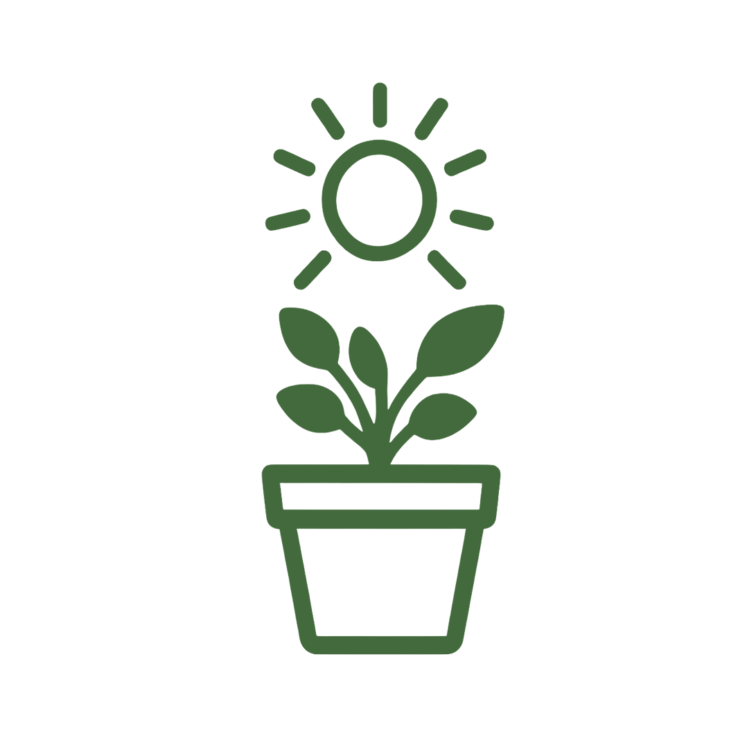 icon for positioning herbs for sunlight when indoor gardening